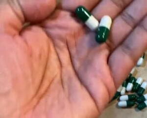 Two DIY Osmocote root tab capsules held in hand before planting