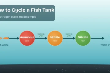 Nitrogen cycle diagram showing fish waste turning to ammonia, then nitrite, then nitrate, with water changes at the end